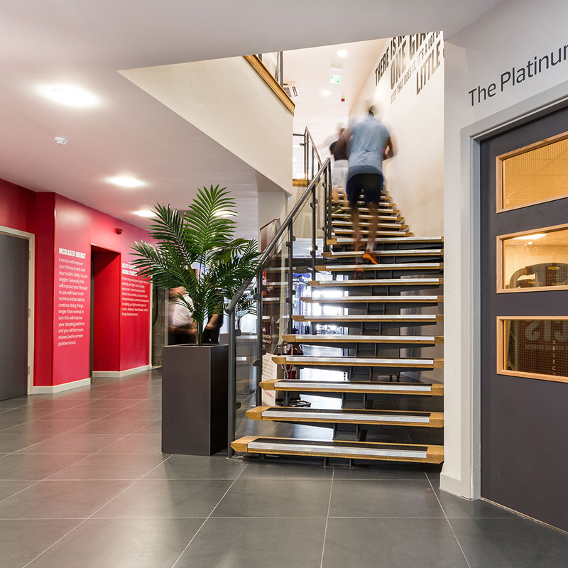 Completed Lifestyle Fitness commercial interior